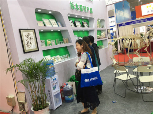 祝賀雨林參展4月教育“兩會”圓滿成功 祝賀雨林參展4月教育“兩會”圓滿成功